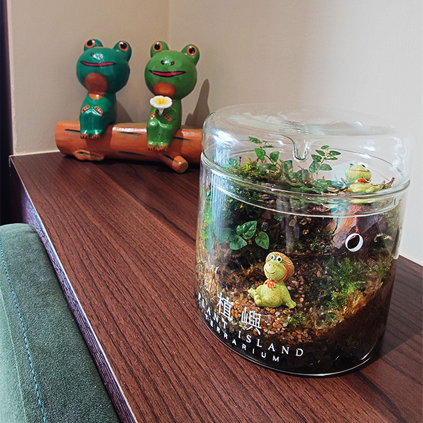 蛙鳴甜點店內裝飾，有青蛙的盆栽